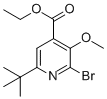 ethyl 2-bromo-6-(tert-butyl)-3-methoxyisonicotinate